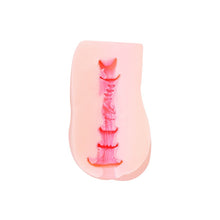 Load image into Gallery viewer, Tamashii Acacia Night Masturbator