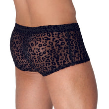 Load image into Gallery viewer, Noir Sheer Animal Print Pants