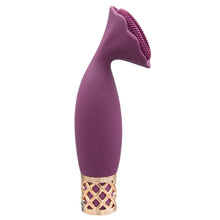 Load image into Gallery viewer, Pillow Talk Secrets Passion Mini Massager
