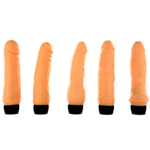 Load image into Gallery viewer, The Magnificent 5 Multi Speed Vibrator Set